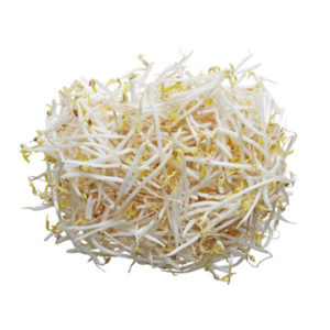 Bean Sprouts