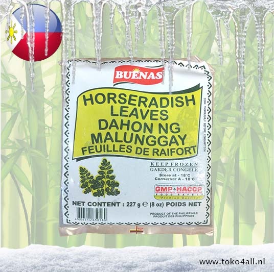Malunggay Horseradish Leaves 227 gr Toko 4 All