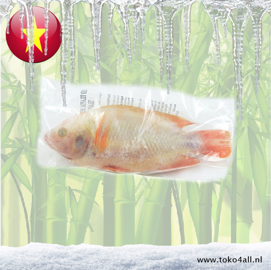 Red Tilapia Gutted and scaled 500 - 700 gr