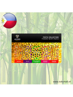 Auro Geschenkverpakking Fiesta Collection 100 gr