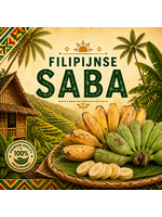 Filipijnse Saba Pre Order 1 kilo  ETA 6 mei 2026