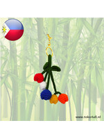 Yehey Tulips hanger Dutch-Pinoy