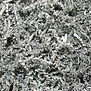 Polstermaterial Papier Zickzack Grau 2kg