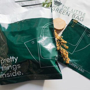 The Little Green Bag