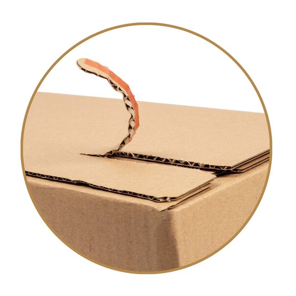 Levering uit voorraad Autolockdoos 540x380x320 mm bruin + plakstrip