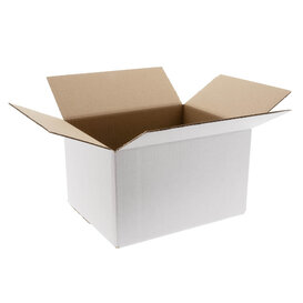 Kartonnen dozen wit 305x215x200mm