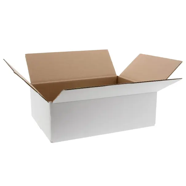 Levering uit voorraad Kartonnen dozen wit 305x220x100mm