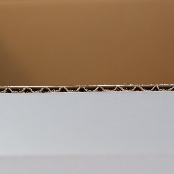 Levering uit voorraad Kartonnen dozen wit 250x200x150mm