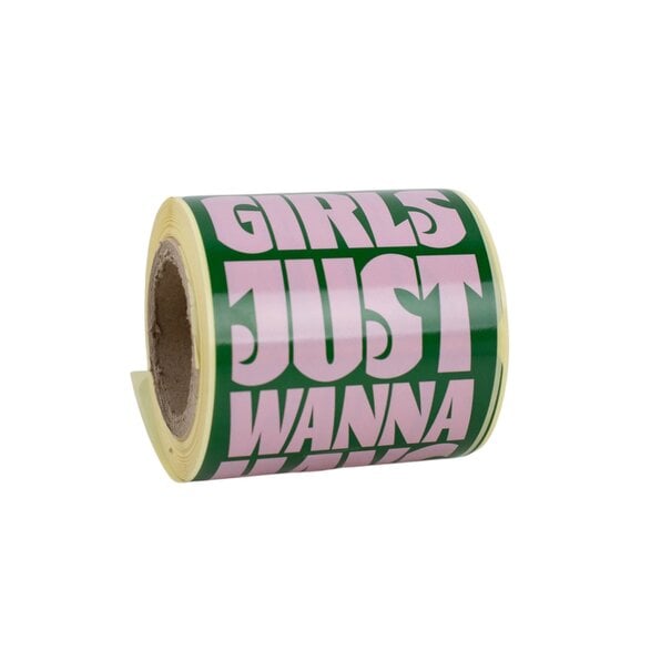 Levering uit voorraad 100x sluitsticker 'Girls Just wanna have fun' Roze