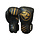 Joya Fightgear - Dino - Gold