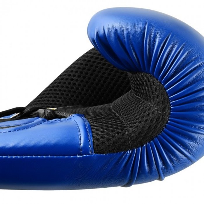 Adidas adidas Hybrid 250 Training - (kick-)boxing gloves - Blue/Black