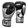 Title Boxing Gloves Infused-Foam Interrogate Black/Silver