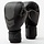 Everlast Prospect 2 Boxing Glove Black/Grey