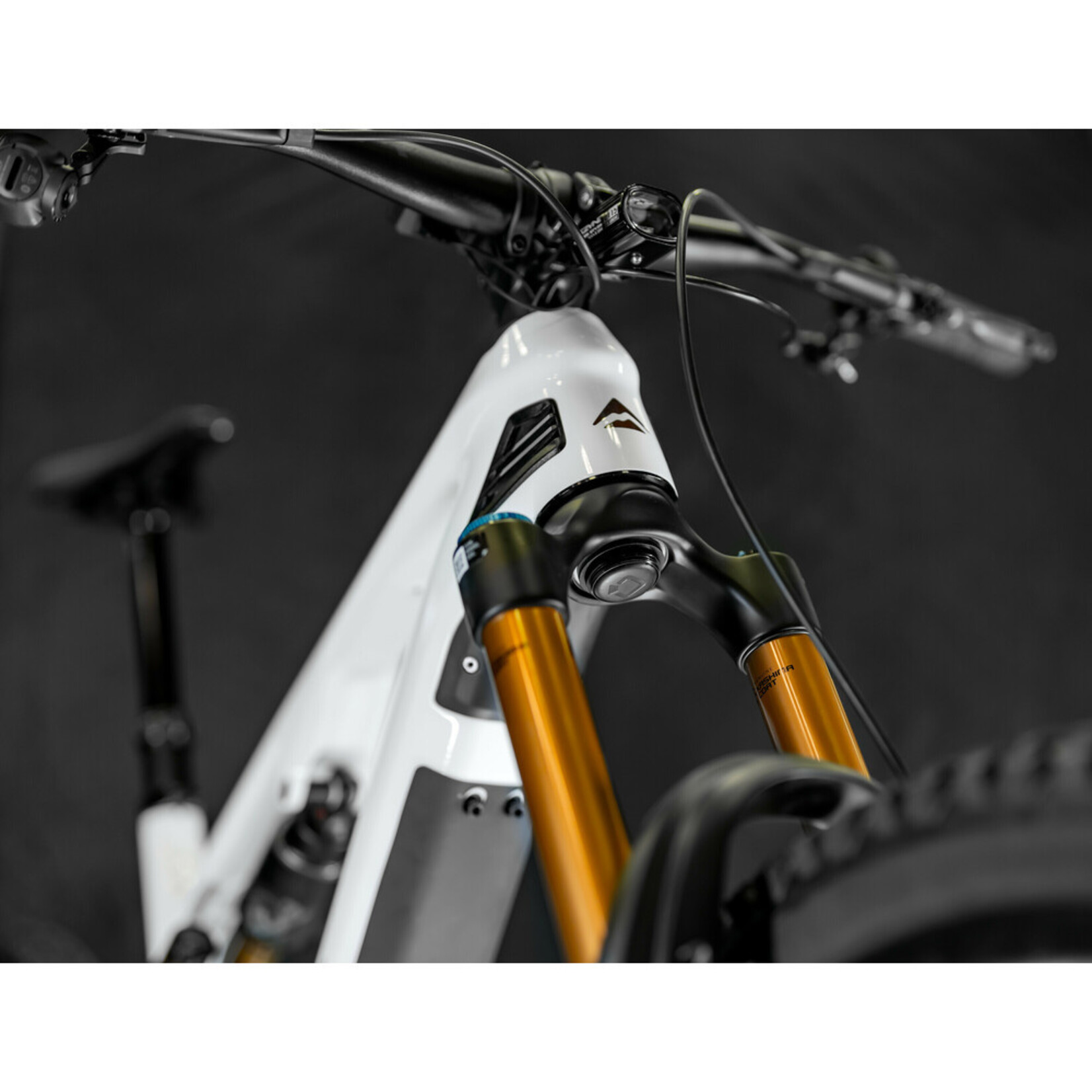 Optiline Fork Tracker Holder