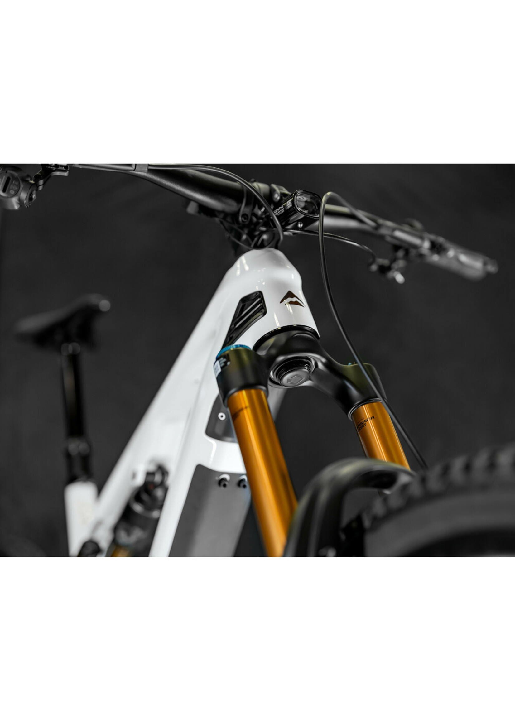 Optiline Fork Tracker Holder