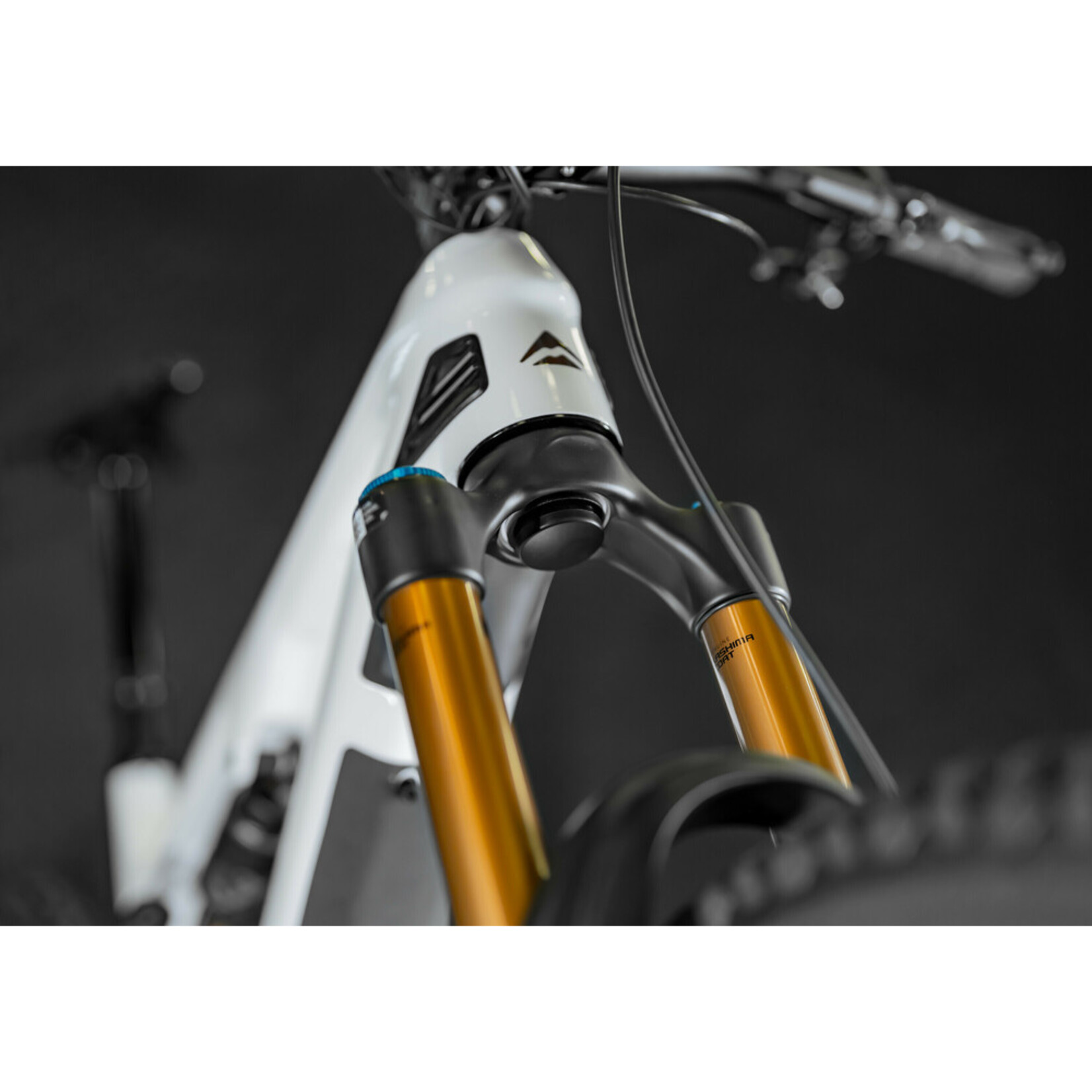 Optiline Fork Tracker Holder