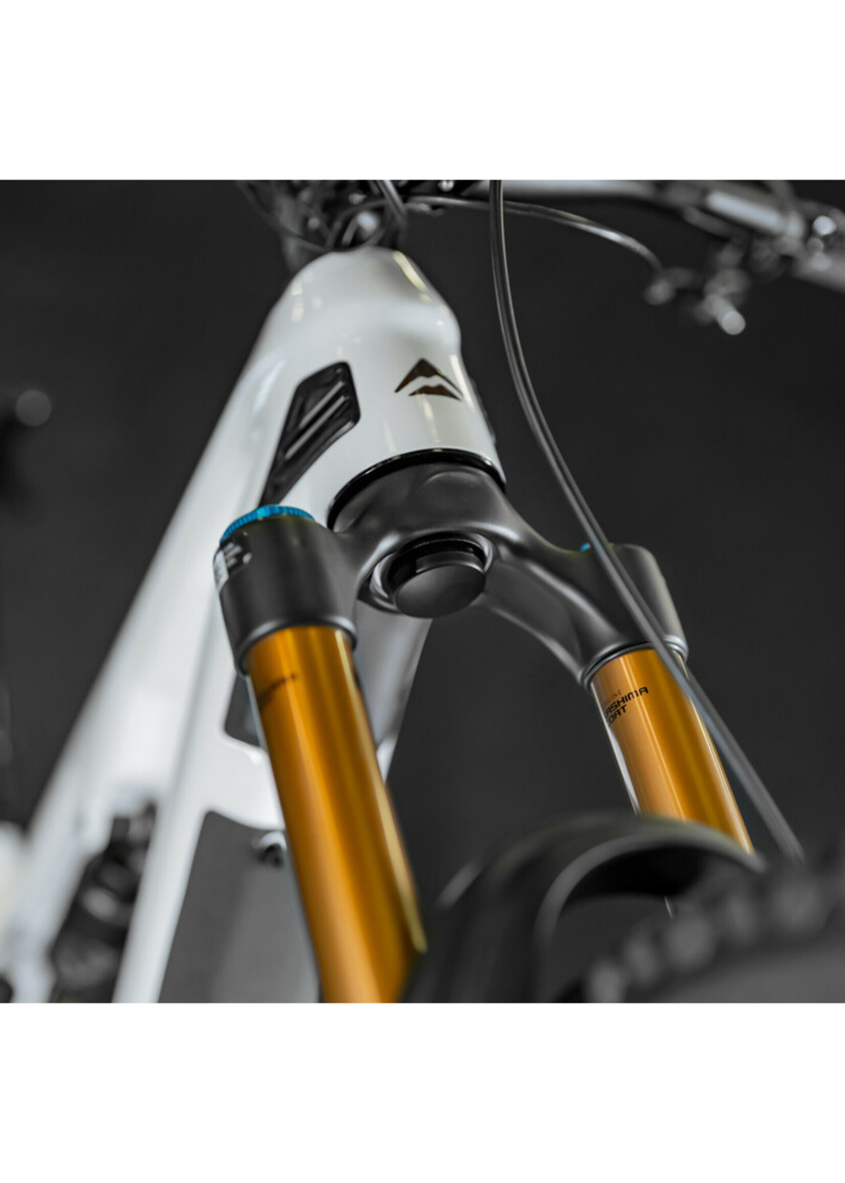 Optiline Fork Tracker Holder