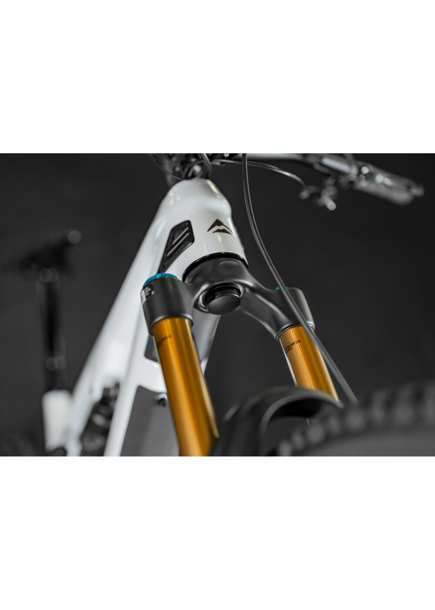 Optiline Fork Tracker Holder