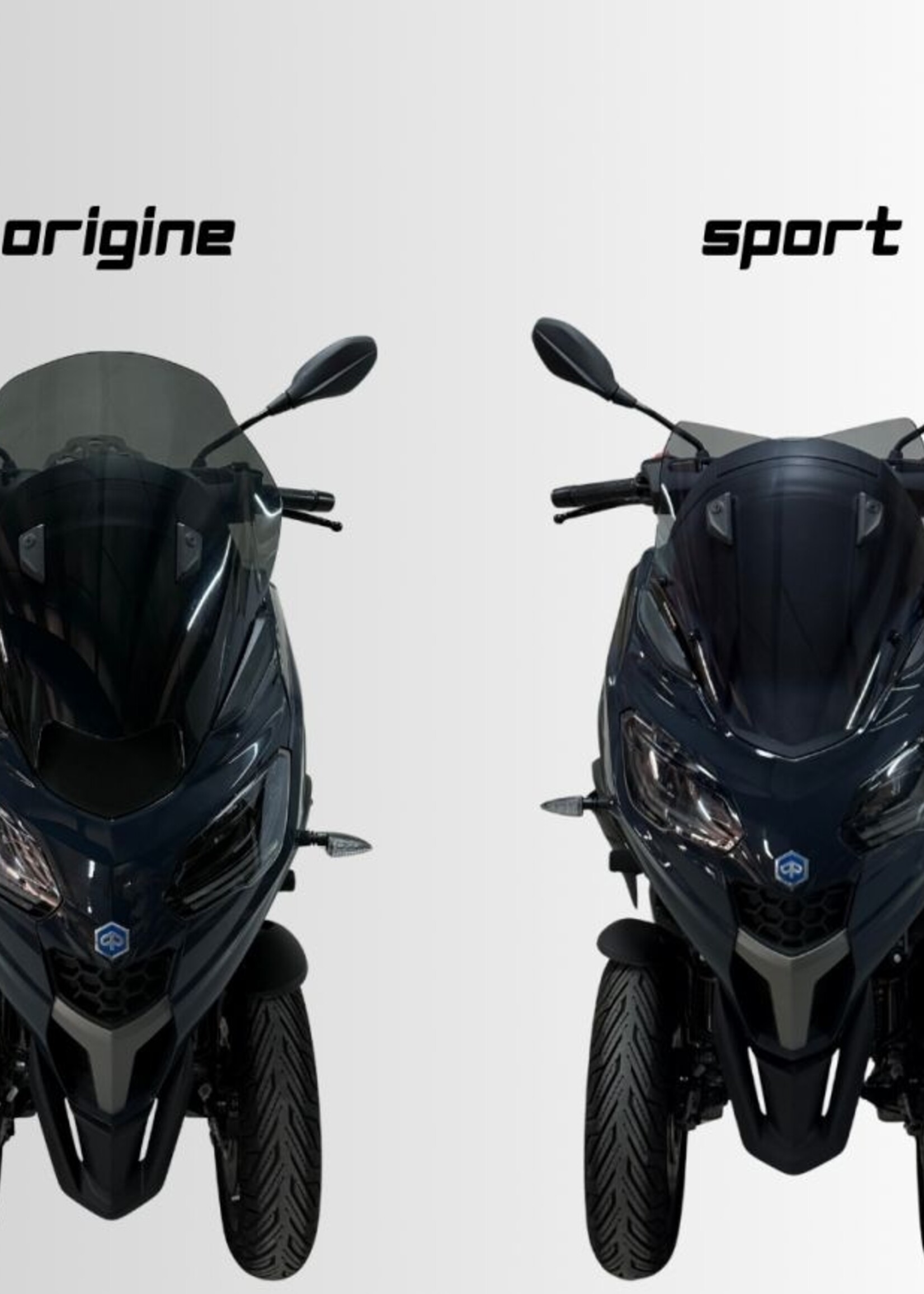 Ermax sport screen for MP3 / sport 310 2025-2025