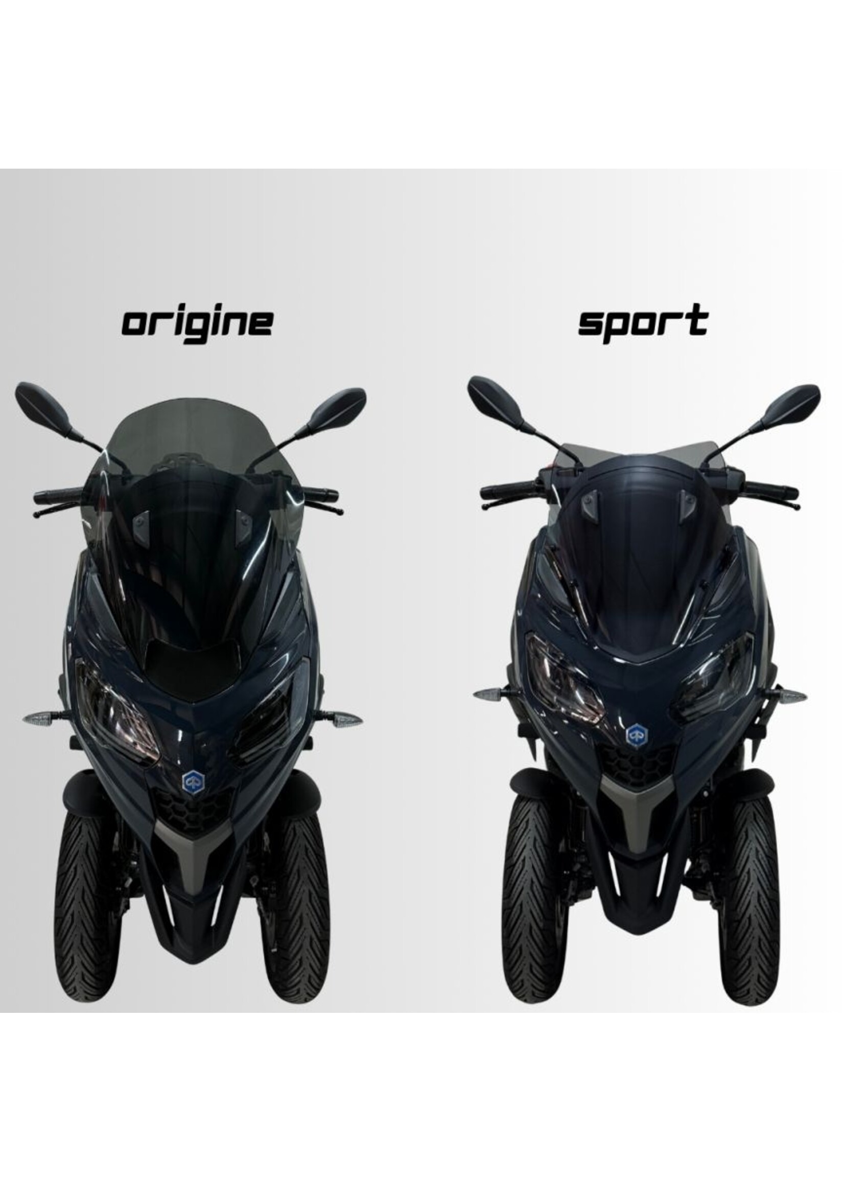 Ermax sport screen for MP3 / sport 310 2025-2025