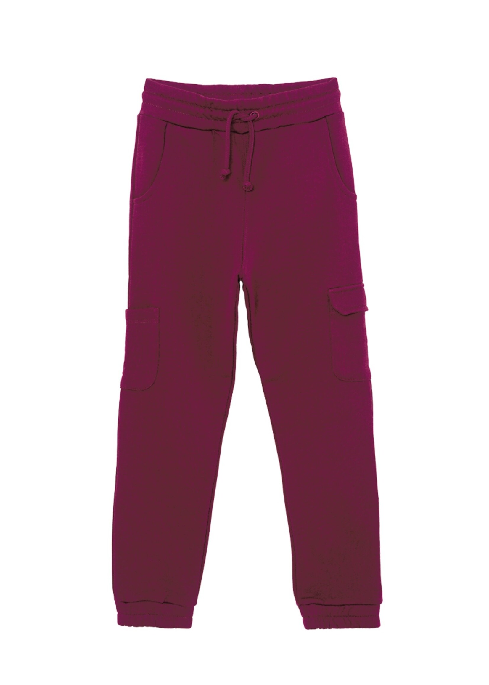 Ammehoela Broek AM-Jaxon-13 purple potion