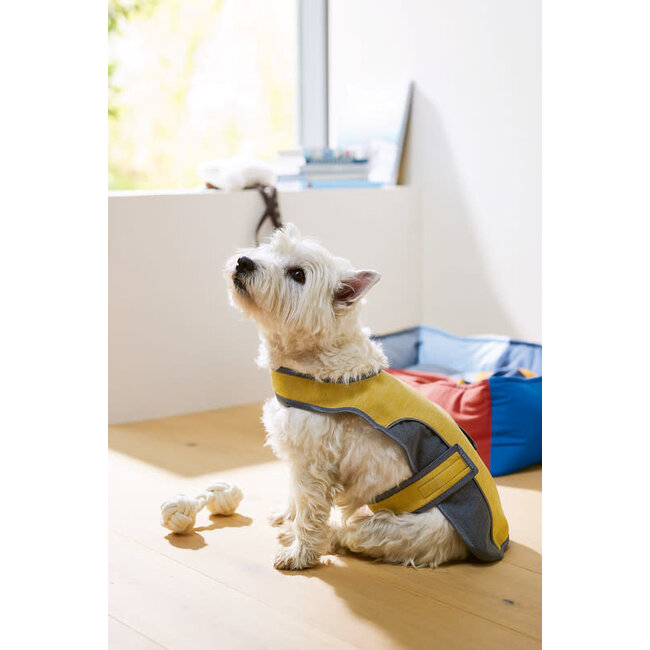 Inspiration - 03/2025