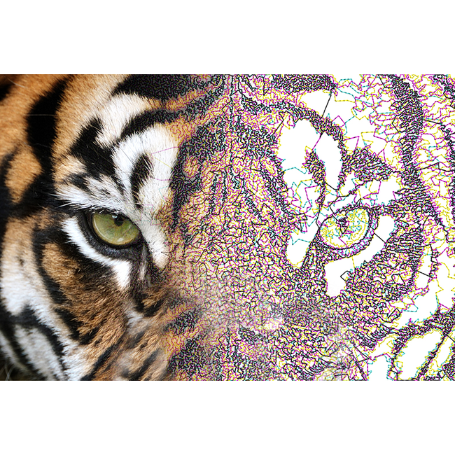 BE Embroidery Studio - Brother