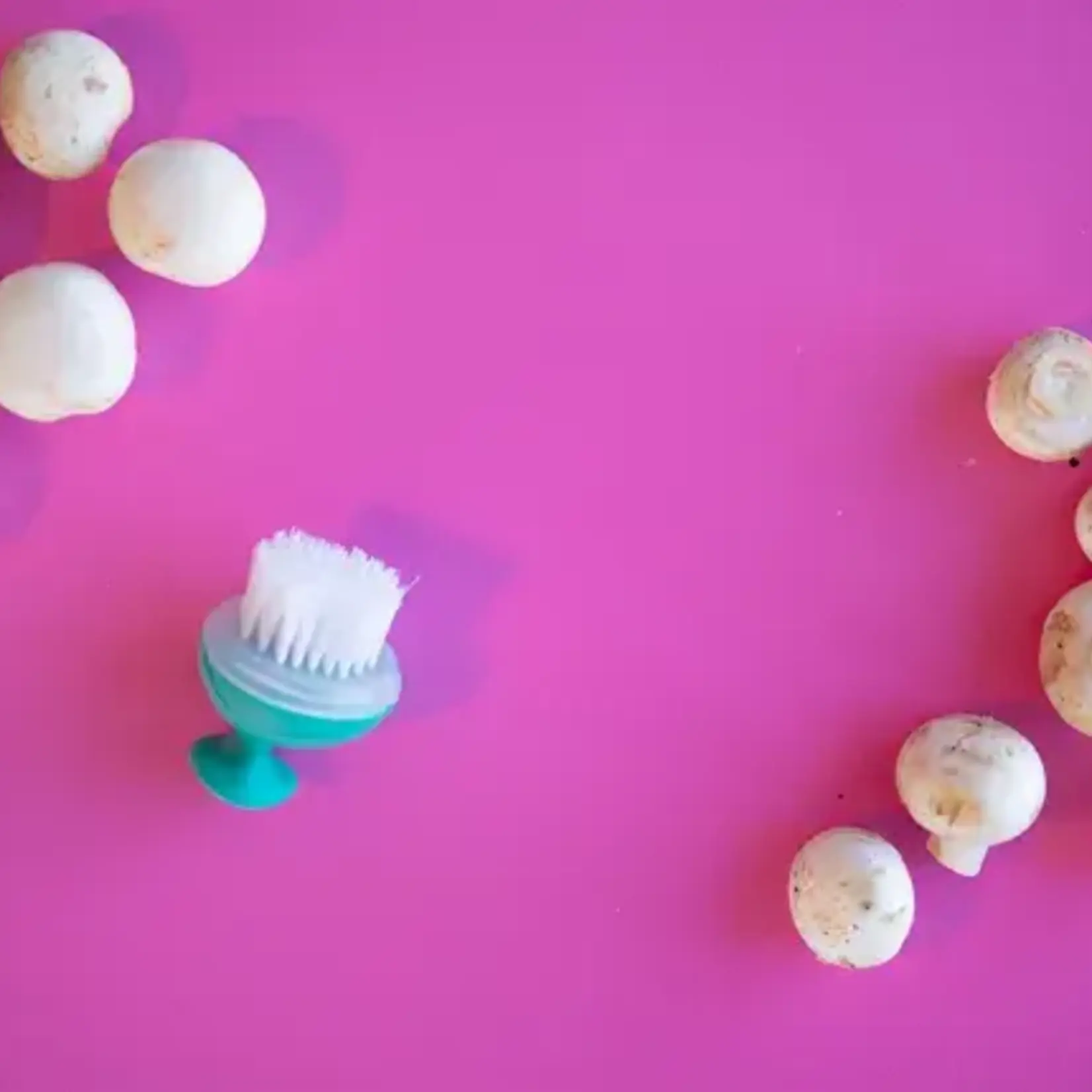 DOTZ CHAMPIGNONBORSTEL BLAUW OF GROEN