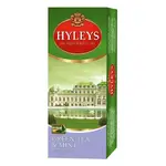 HEYLEYS HYLEYS GREEN TEA & MINT 25 TEA BAGS