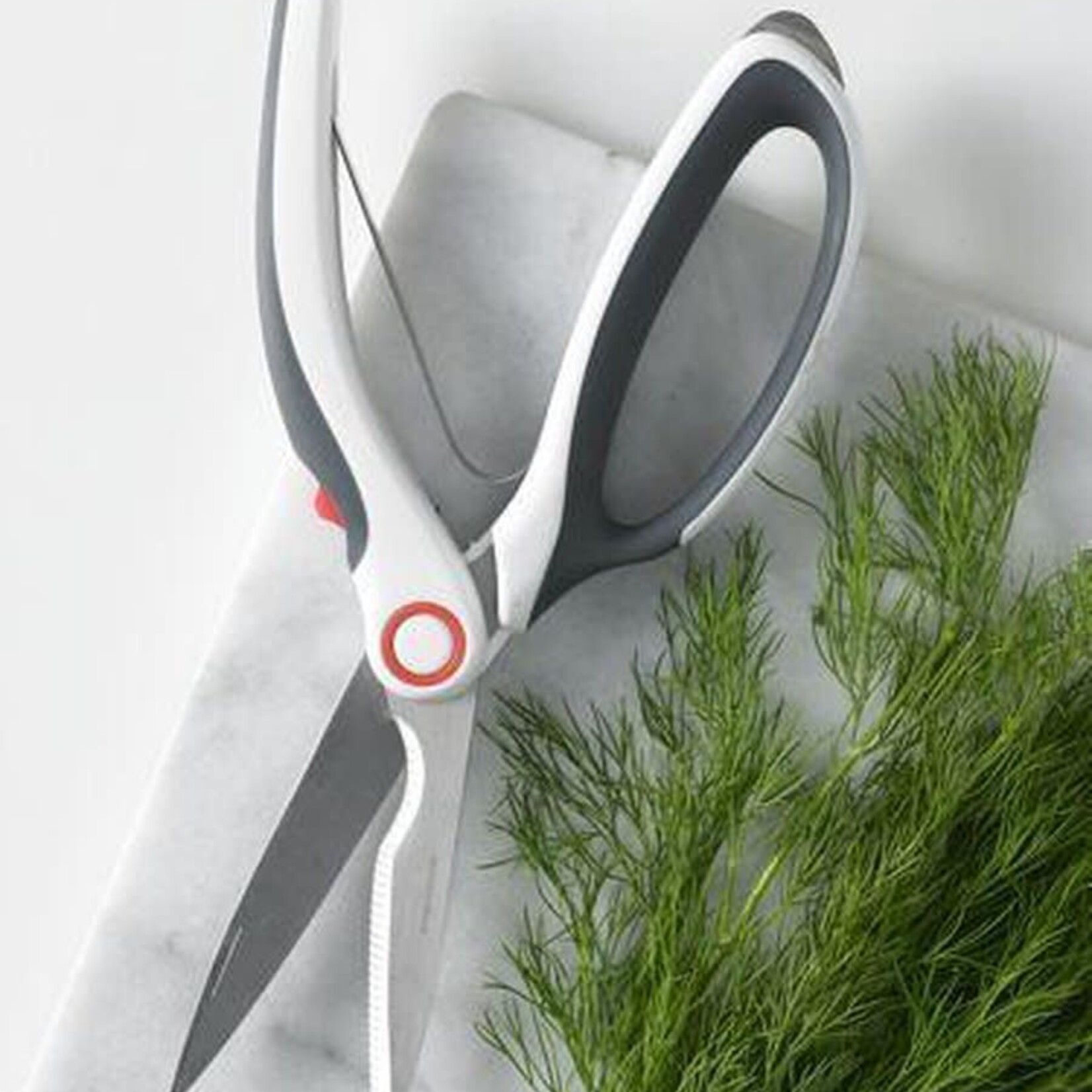 ZYLISS ZYLISS EASY GOURMET SCHAAR