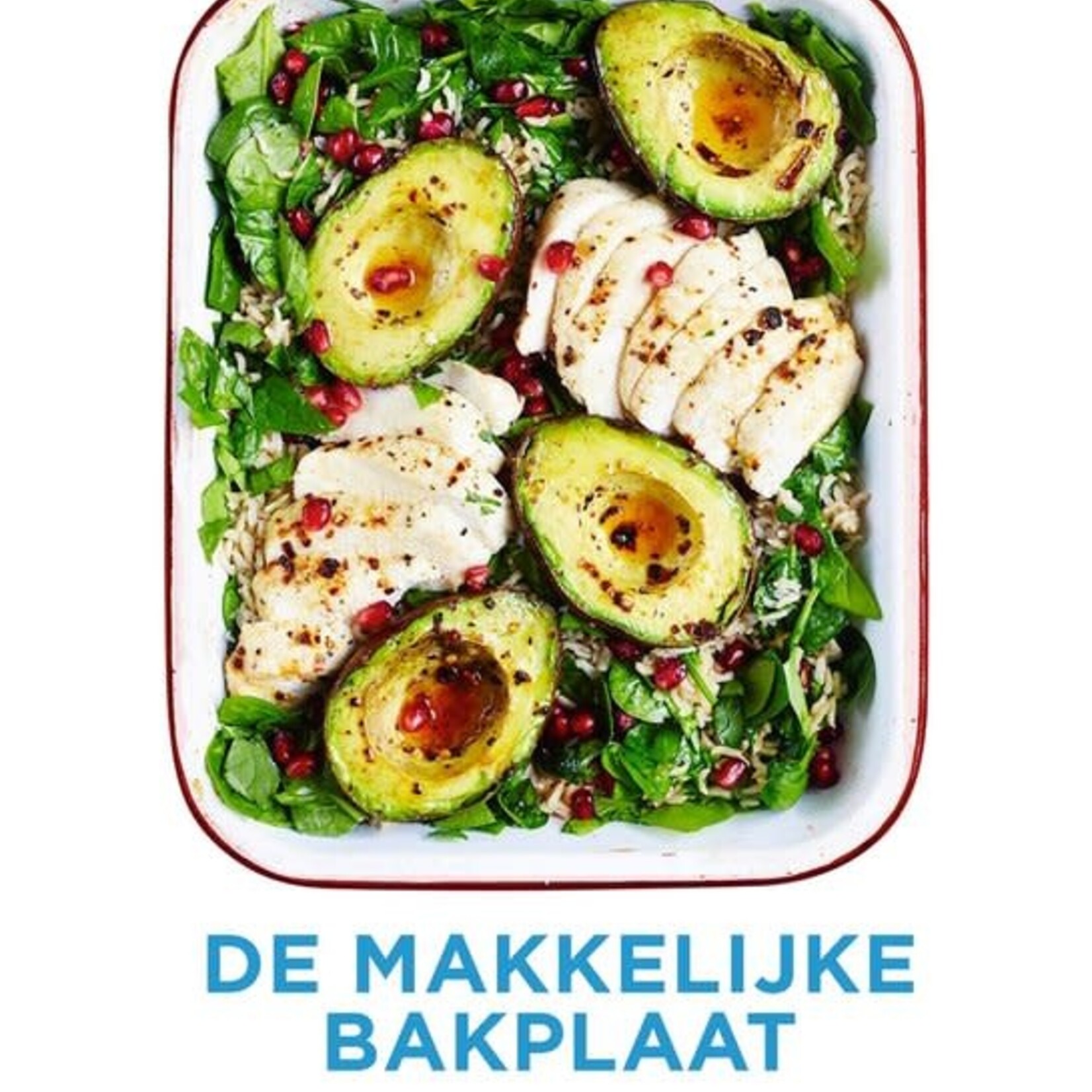 BOWLS&DISHES DE MAKKELIJKE BAKPLAAT RUKMINI IYER