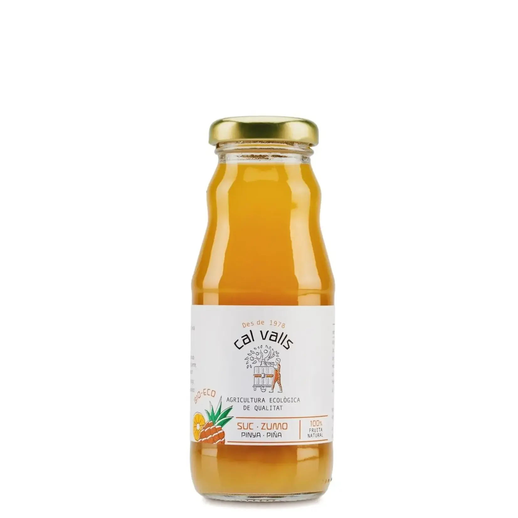 CAL VALLS CAL VALLS 200ML ECO ANANAS JUICE