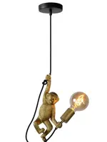 Lucide Chimp Extravaganza