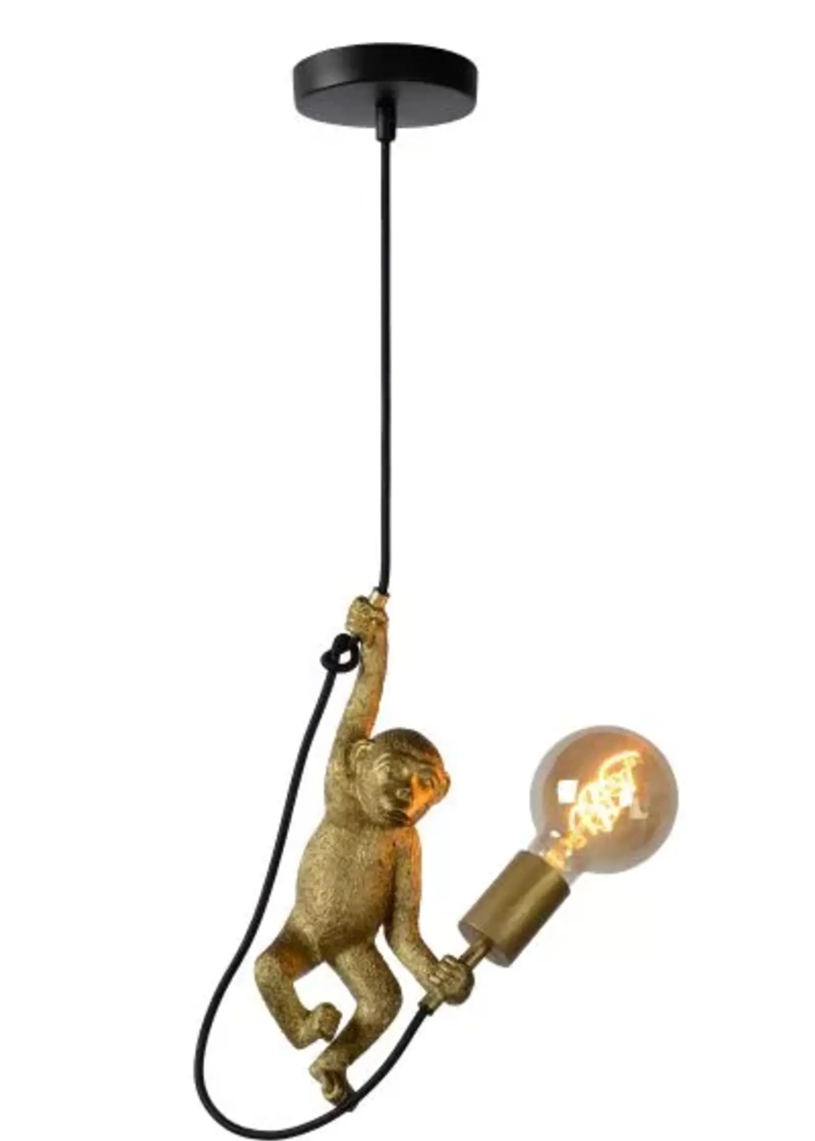 Lucide Lucide Extravaganza Chimp Hanglamp Ø17,6cm 1xE27 zwart