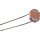 GL5516 LDR Photoresistor
