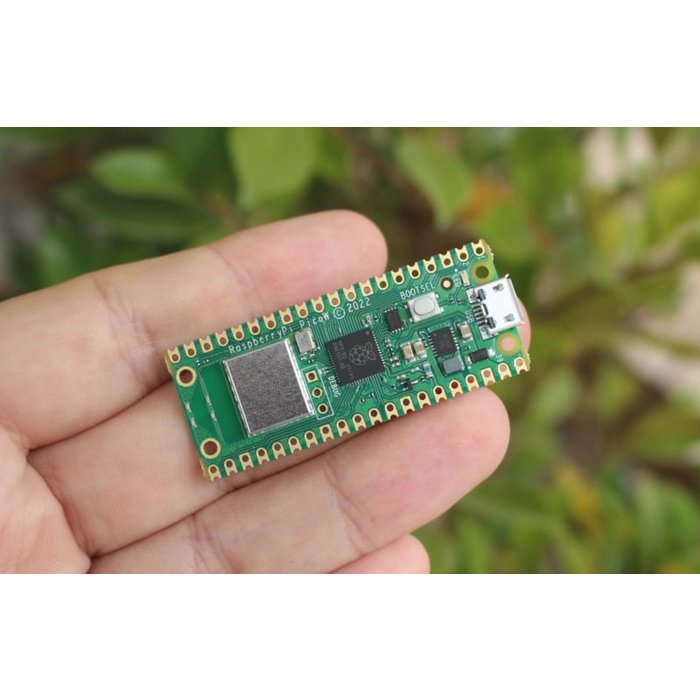 Otronic Raspberry Pi Pico W met onboard WiFi