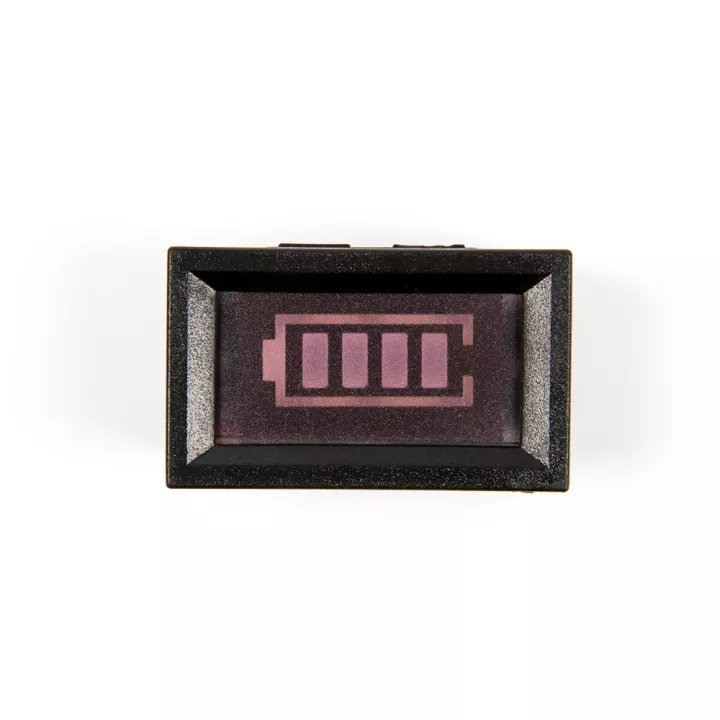 Otronic Indicateur d'état de la batterie 6V