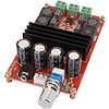 Otronic TPA3116D2 100W + 100W Class D Stereo Versterkermodule