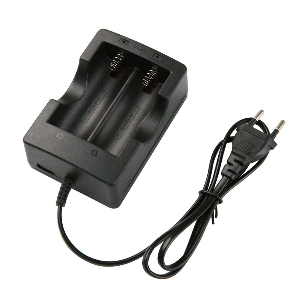 Otronic Ladegerät für 2x 18650 Lithium-Batterien 3,6V / 3,7V / 4,2V