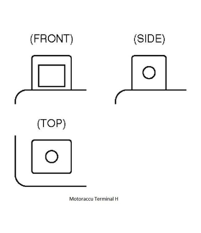 Landport (LP) LB16AL-A2 motor GEL accu 12 volt 16,0 ah (51616 - GB16AL-A2)