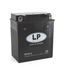 Landport (LP) GB12AL-A motor GEL accu 12 volt 12,0 ah (51213 - MG LB12A-3)