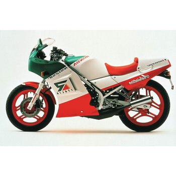 Accu Honda NS