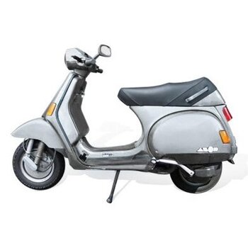 Accu Vespa Cosa