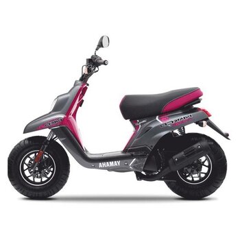 Accu Yamaha CW