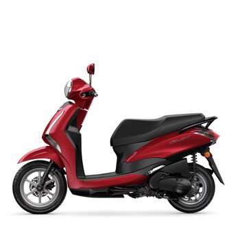 Accu Yamaha D'elight