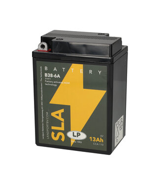 Landport (LP) SLA B38-6A motor accu 6 volt 13 ah (01411)