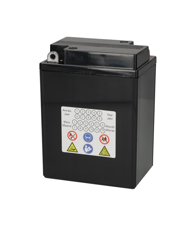 Landport (LP) SLA B38-6A motor accu 6 volt 13,0 ah (01411)