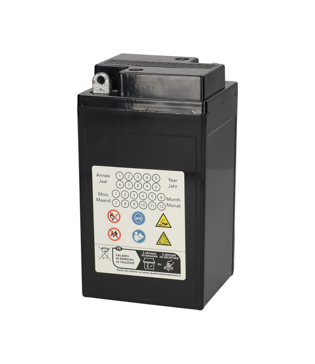 Landport (LP) SLA B49-6 motor accu 6 volt 10,0 ah (00811)