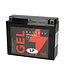 Landport (LP) LB16AL-A2 motor GEL accu 12 volt 16,0 ah (51616 - GB16AL-A2)