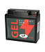 Landport (LP) L12-19 motor GEL accu 12 volt 21 ah (51913 - G12-19)